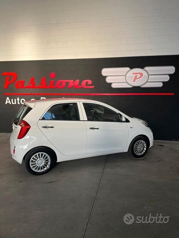 Usata Kia Picanto 66 CV (48 kW) 2015 Bianco Utilitaria