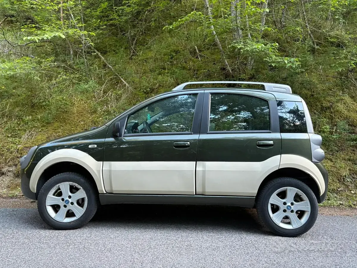 Usata Fiat Panda 4x4 Cross 69 CV (50 kW) 2006 Utilitaria
