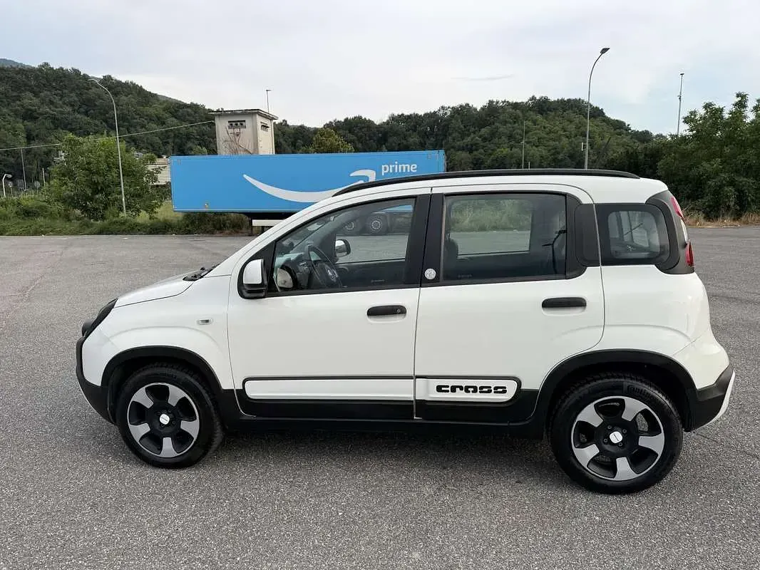 Usata Fiat Panda Cross Cross 69 CV (50 kW) 2020 Bianco Utilitaria
