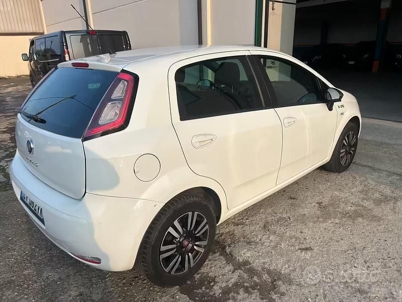 Usata Fiat Punto Lounge 69 CV (50 kW) 2014 Bianco Utilitaria