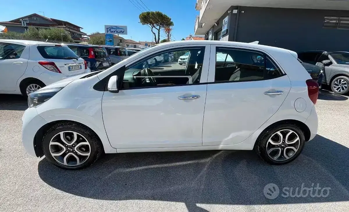 Usata Kia Picanto 2019 Bianco Utilitaria