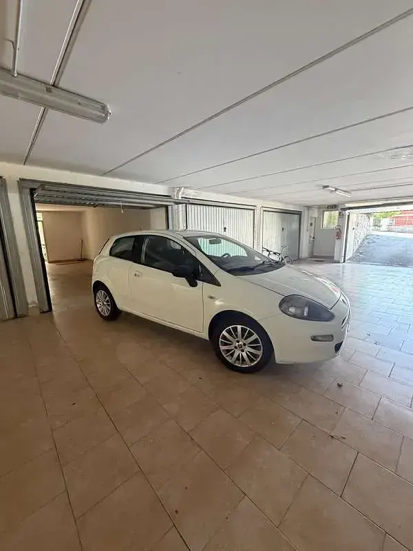 Usata Fiat Punto 84 CV (61 kW) 2014 Utilitaria
