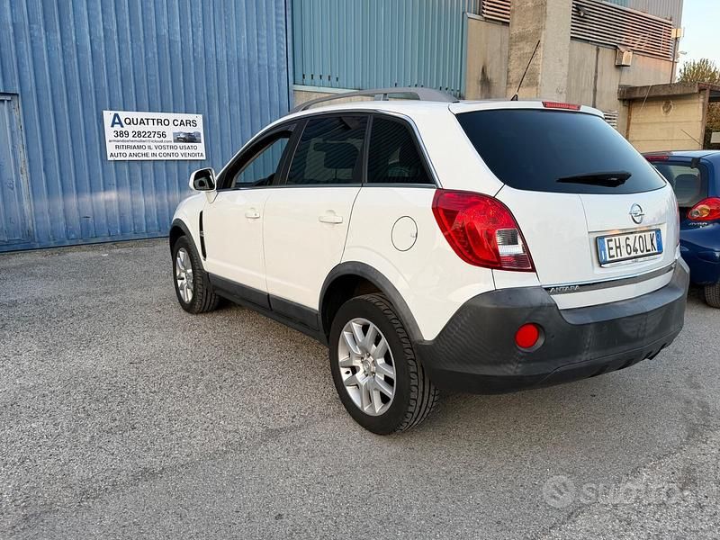 Usata Opel Antara Cosmo 163 CV (119 kW) 2011 Bianco SUV