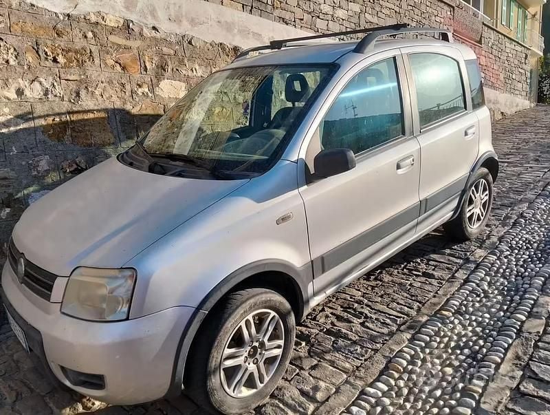Usata Fiat Panda 4x4 60 CV (44 kW) 2007 Grigio Utilitaria