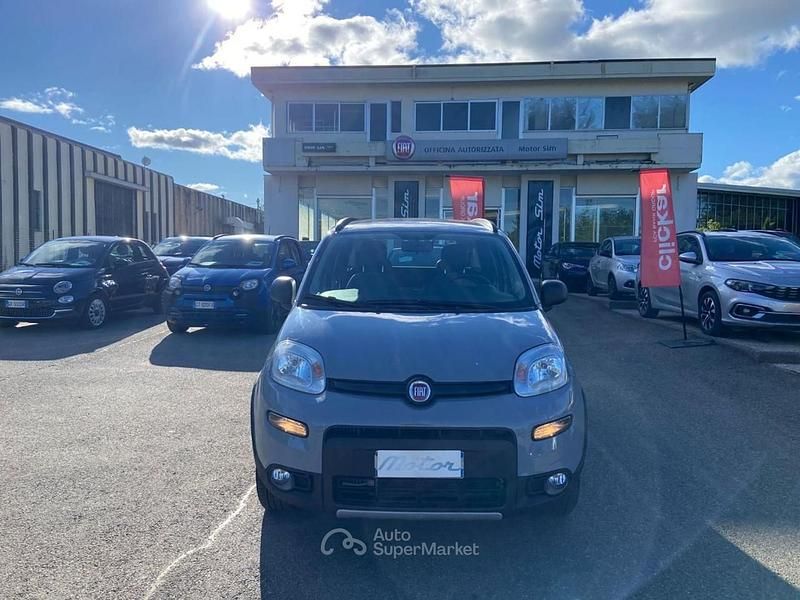 Usata Fiat Panda 4x4 Wild 84 CV (61 kW) 2021 Grigio Utilitaria