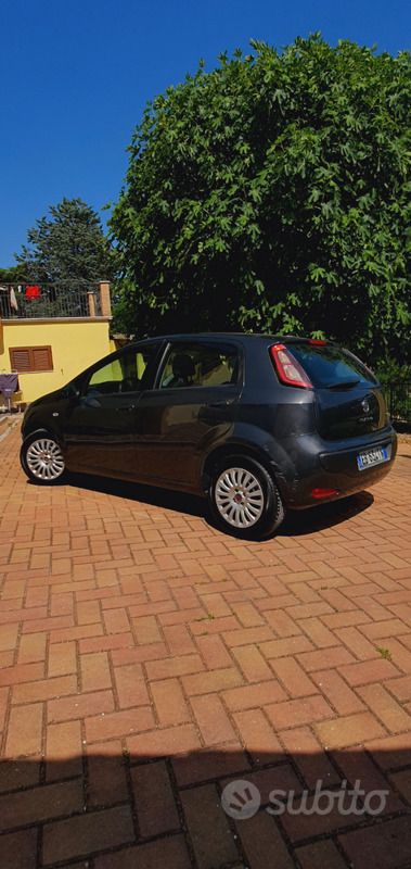 Usata Fiat Punto Evo Dynamic 65 CV (47 kW) 2010 Grigio Utilitaria