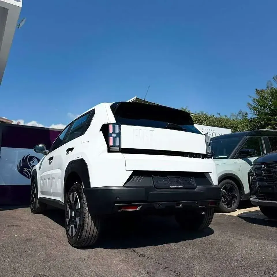 Nuova Fiat Grande Panda Business 101 CV (74 kW) 2026 Bianco gelato Utilitaria