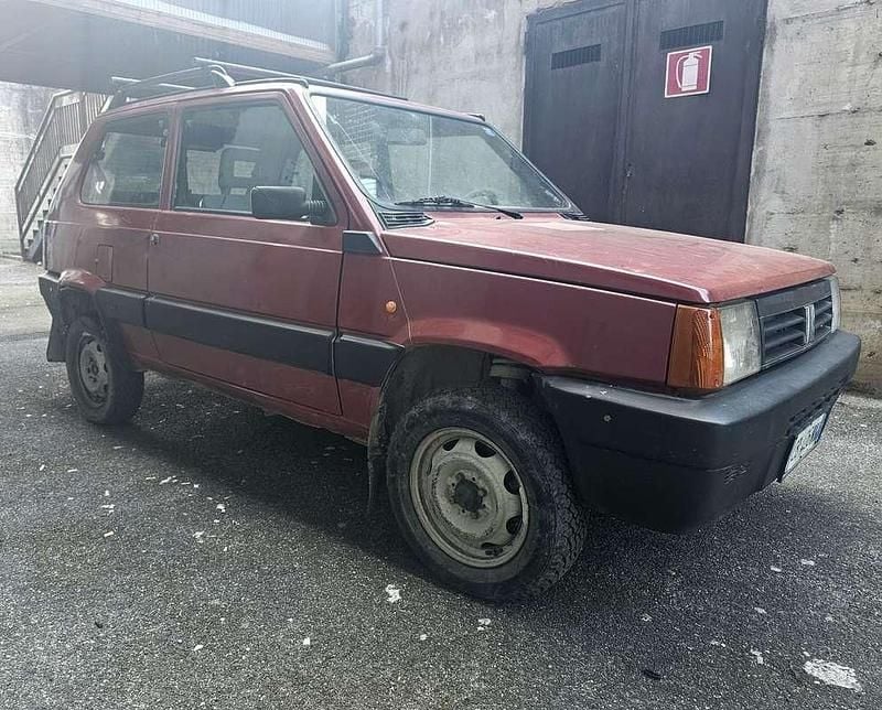 Usata Fiat Panda 4x4 Trekking 54 CV (39 kW) 2002 Rosso Utilitaria