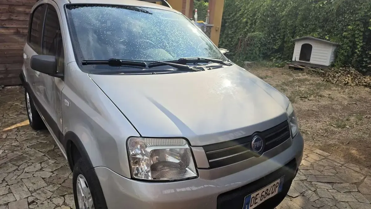 Usata Fiat Panda 4x4 69 CV (50 kW) 2006 Utilitaria