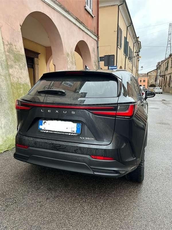 Usata Lexus NX350h 190 CV (139 kW) 2025 SUV