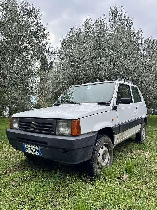 Usata Fiat Panda 4x4 Trekking 54 CV (39 kW) 1999 Utilitaria