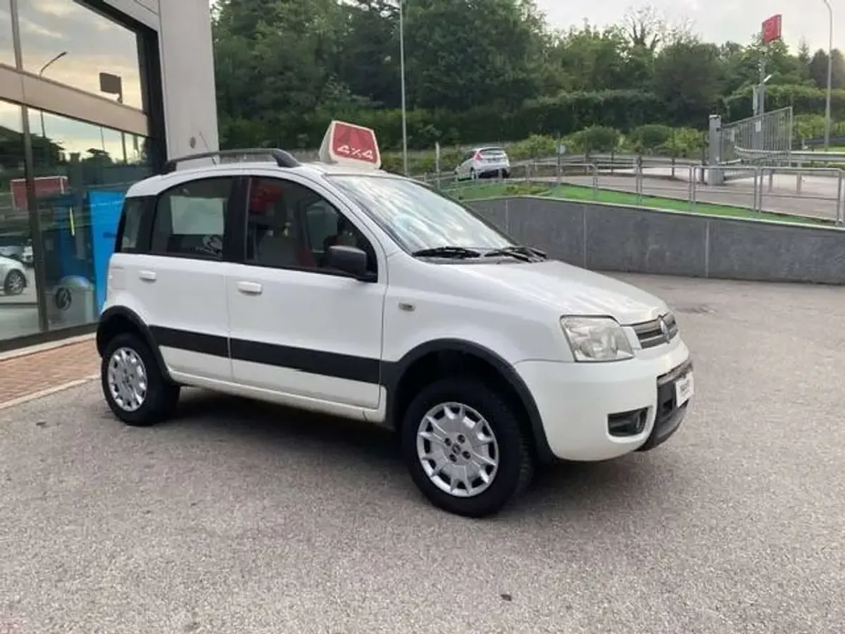 Usata Fiat Panda 4x4 Climbing 60 CV (44 kW) 2006 Bianco Utilitaria