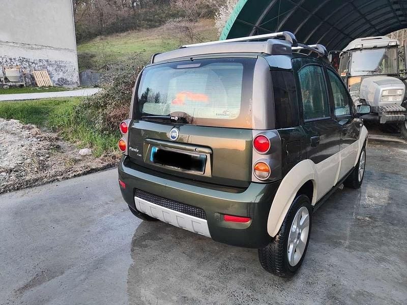 Usata Fiat Panda 4x4 Cross 95 CV (69 kW) 2006 Verde Utilitaria