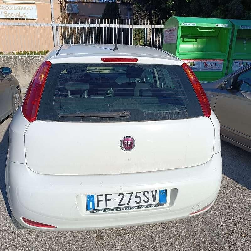 Usata Fiat Punto Lounge 69 CV (50 kW) 2016 Bianco Berlina