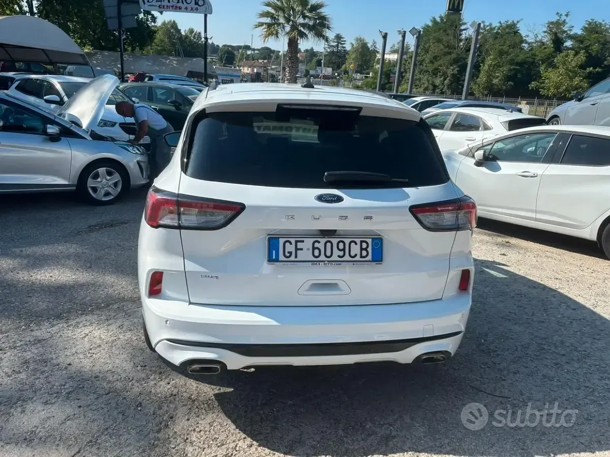 Usata Ford Kuga ST-Line 120 CV (88 kW) 2021 Bianco SUV
