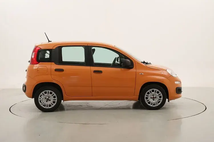 Usata Fiat Panda Easy 69 CV (50 kW) 2020 Utilitaria