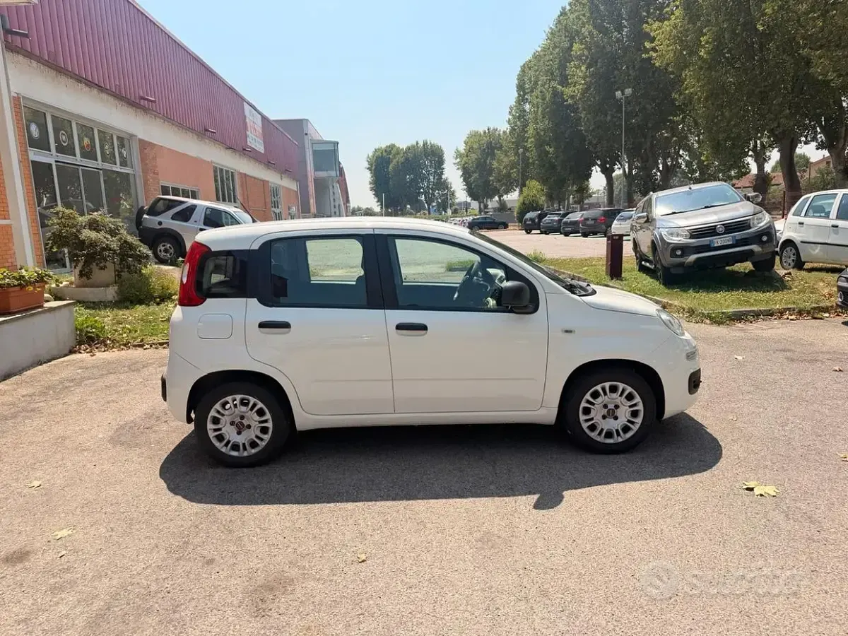 Usata Fiat Panda Lounge 69 CV (50 kW) 2016 Bianco Utilitaria