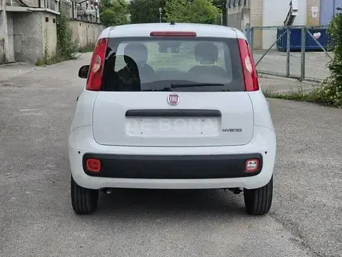 Nuova Fiat Panda Pop 65 CV (47 kW) 2026 Bianco Utilitaria