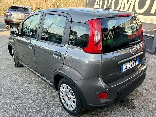 Usata Fiat Panda 69 CV (50 kW) 2023 Grigio Utilitaria