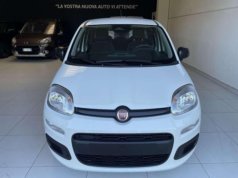 Usata Fiat Panda Icon 69 CV (50 kW) 2024 Bianco Utilitaria