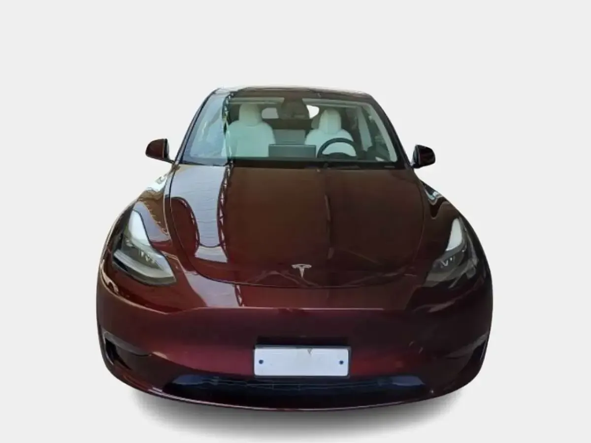 Usata Tesla Model Y Performance 155 kW (211 CV) 2024 Bordeaux SUV