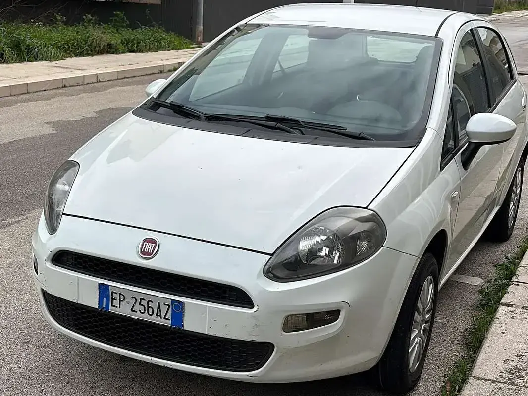 Usata Fiat Punto Pop 69 CV (50 kW) 2012 Bianco Utilitaria
