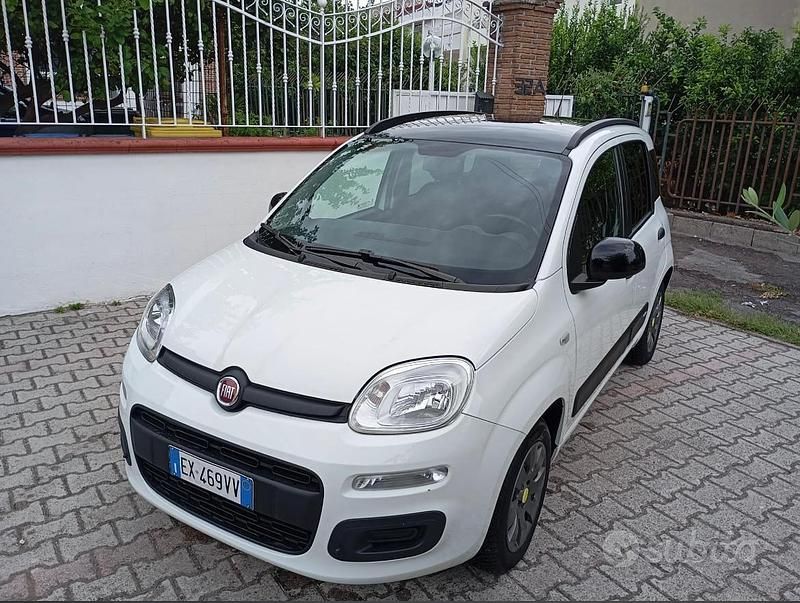 Usata Fiat Panda Lounge 69 CV (50 kW) 2014 Bianco Utilitaria