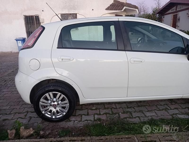 Usata Fiat Punto Evo 2012 Bianco Utilitaria