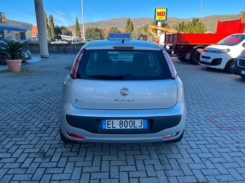 Usata Fiat Punto Evo Active 75 CV (55 kW) 2012 Grigio Utilitaria
