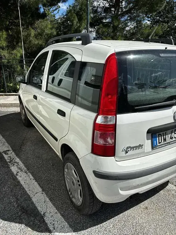 Usata Fiat Panda Dynamic 60 CV (44 kW) 2009 Bianco Utilitaria