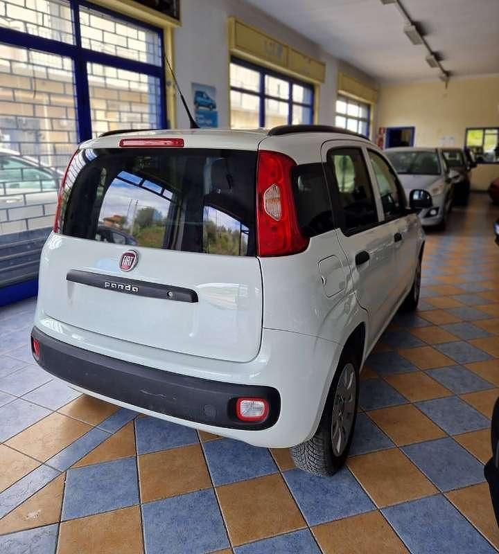 Usata Fiat Panda Easy 69 CV (50 kW) 2019 Utilitaria