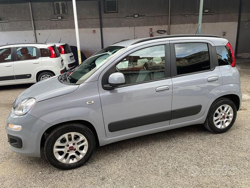 Usata Fiat Panda Lounge 69 CV (50 kW) 2019 Grigio Utilitaria