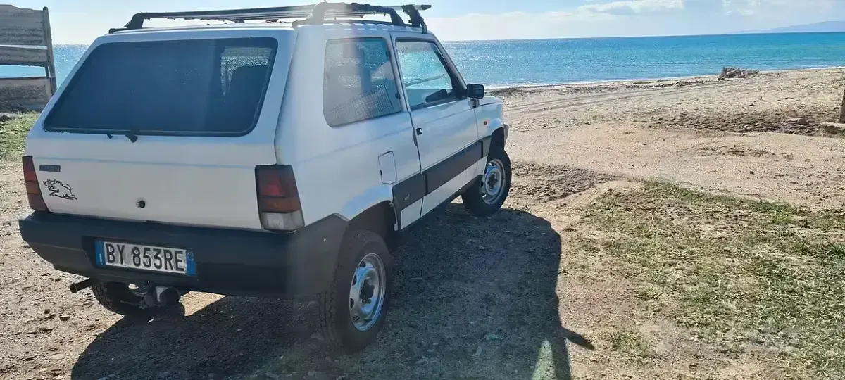 Usata Fiat Panda 4x4 54 CV (39 kW) 2002 Bianco Utilitaria