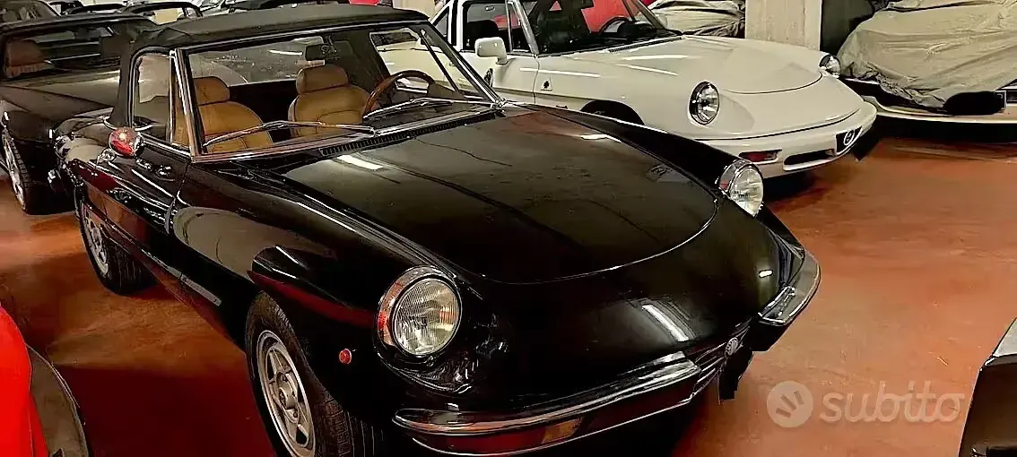 Usata Alfa Romeo Spider Veloce 131 CV (96 kW) 1982 Nero Cabrio