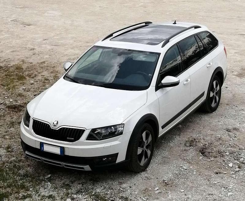 Usata Skoda Octavia Scout 4x4 150 CV (110 kW) 2015 Bianco Station wagon