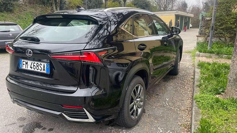 Usata Lexus NX300h Sport Line 155 CV (114 kW) 2018 SUV