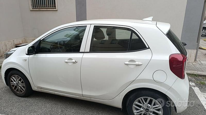Gebraucht Kia Picanto 67 PS (49 kW) 2024 Weiß Kleinwagen