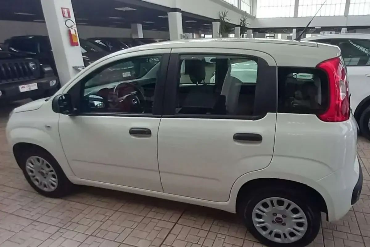 Usata Fiat Panda Easy 69 CV (50 kW) 2020 Bianco Utilitaria