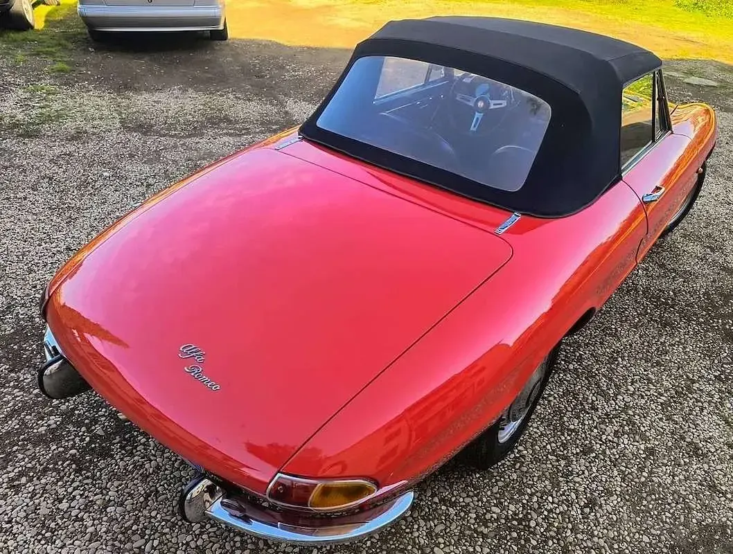 Usata Alfa Romeo Spider Veloce 131 CV (96 kW) 1966 Bianco Cabrio