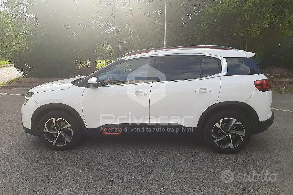 Usata Citroën C5 Aircross Business Class 131 CV (96 kW) 2019 Bianco SUV