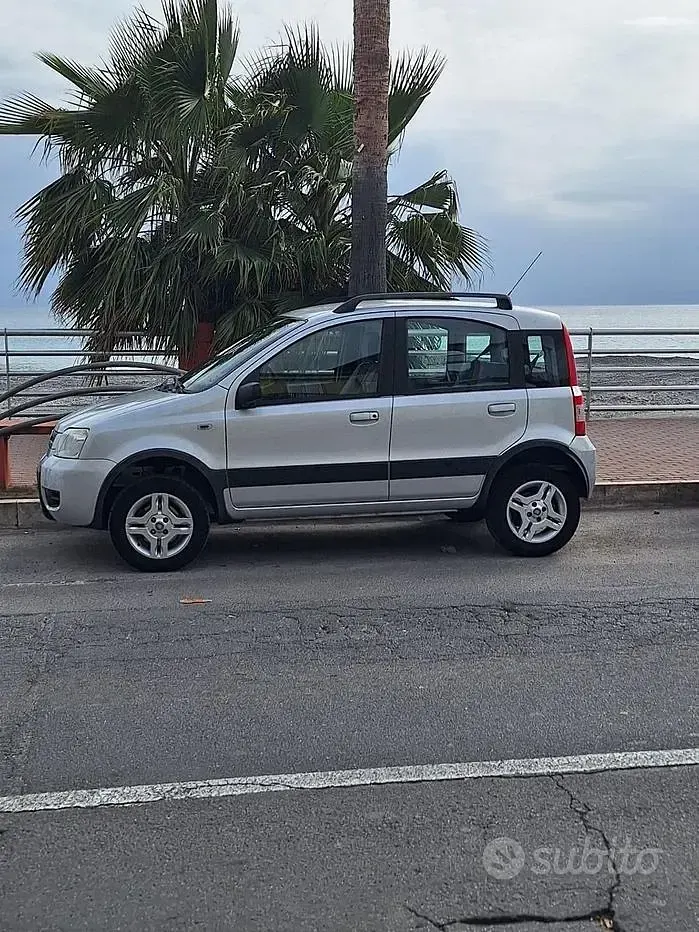 Usata Fiat Panda 4x4 69 CV (50 kW) 2009 Grigio Utilitaria