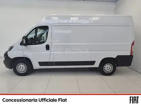 Usata Fiat Ducato 33 160 CV (117 kW) 2020 Bianco Furgone