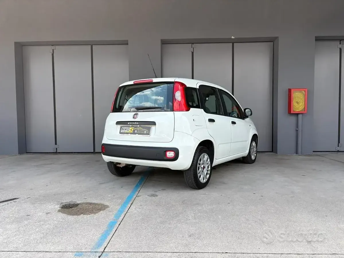 Usata Fiat Panda Easy 69 CV (50 kW) 2018 Bianco Utilitaria