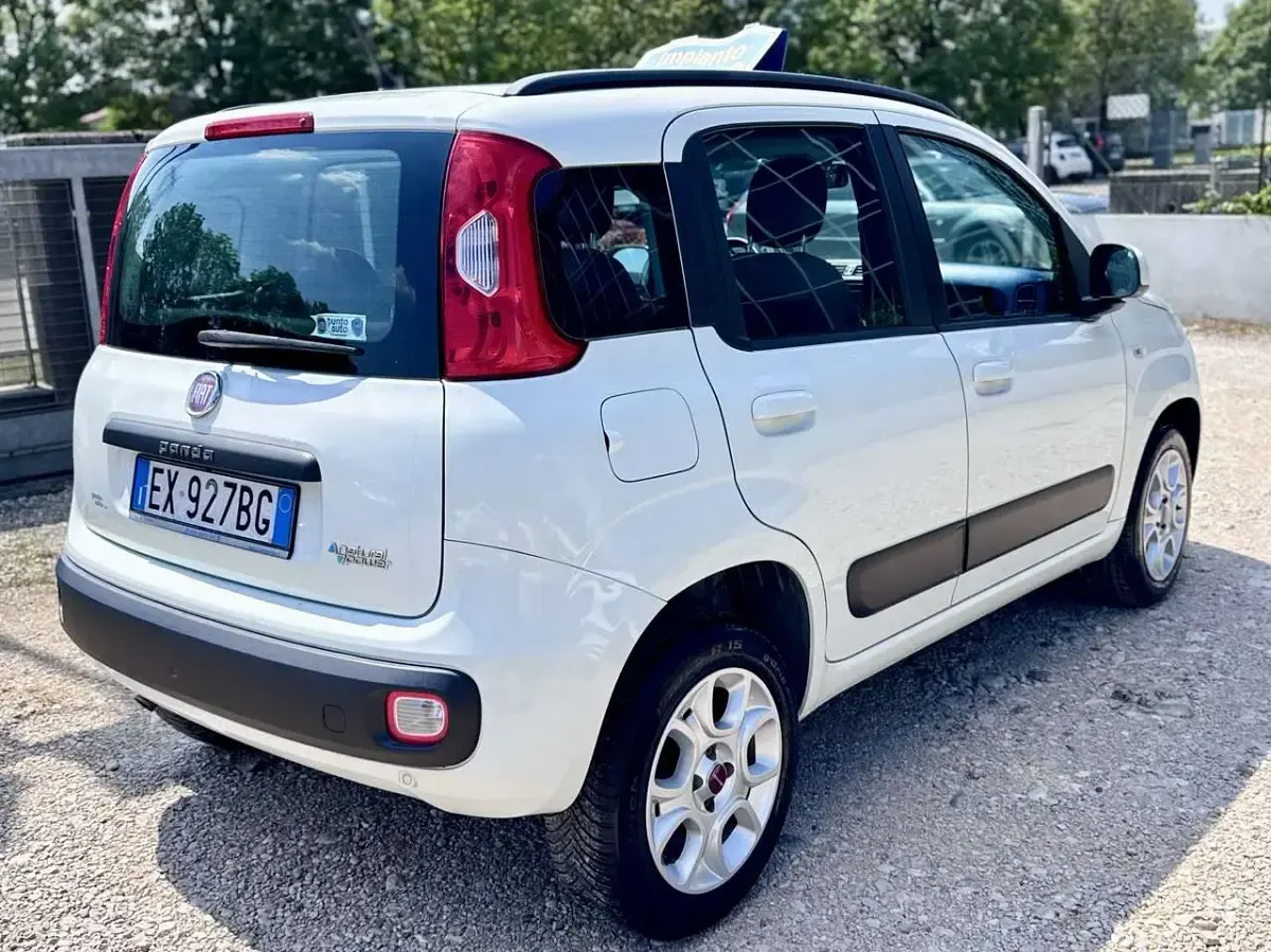 Usata Fiat Panda 80 CV (58 kW) 2014 Bianco Utilitaria
