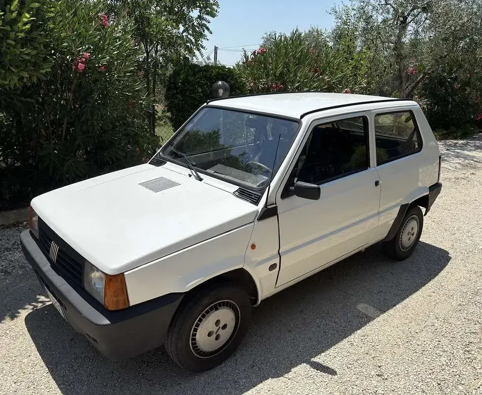 Usata Fiat Panda Young 54 CV (39 kW) 2001 Bianco Berlina