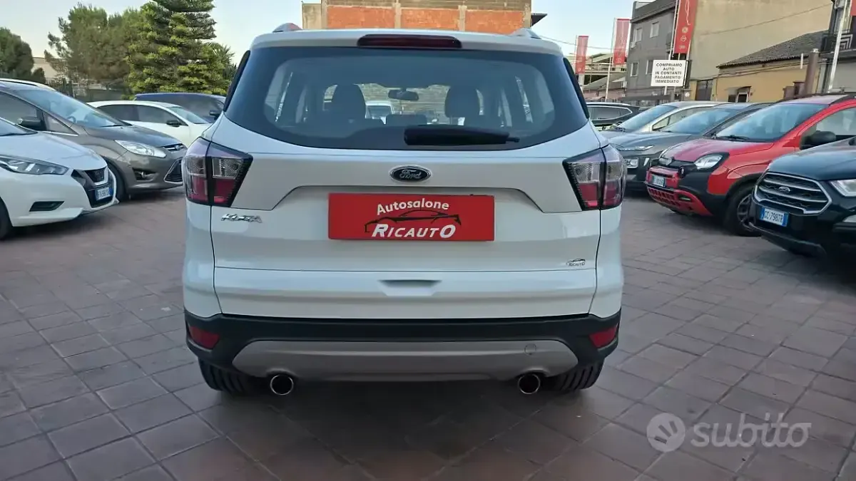 Usata Ford Kuga Titanium 120 CV (88 kW) 2017 Bianco SUV