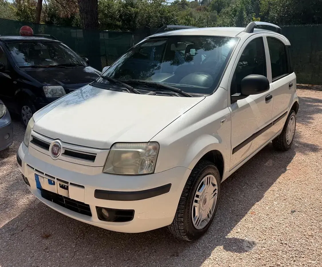 Usata Fiat Panda Dynamic 69 CV (50 kW) 2011 Bianco Utilitaria