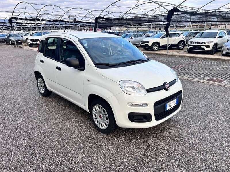 Usata Fiat Panda Easy 69 CV (50 kW) 2020 Bianco Utilitaria