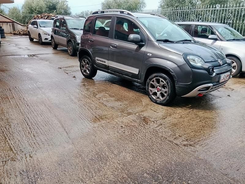 Usata Fiat Panda Cross Cross 95 CV (69 kW) 2018 Grigio Utilitaria