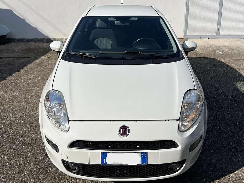 Usata Fiat Punto Evo 77 CV (56 kW) 2015 Bianco Utilitaria